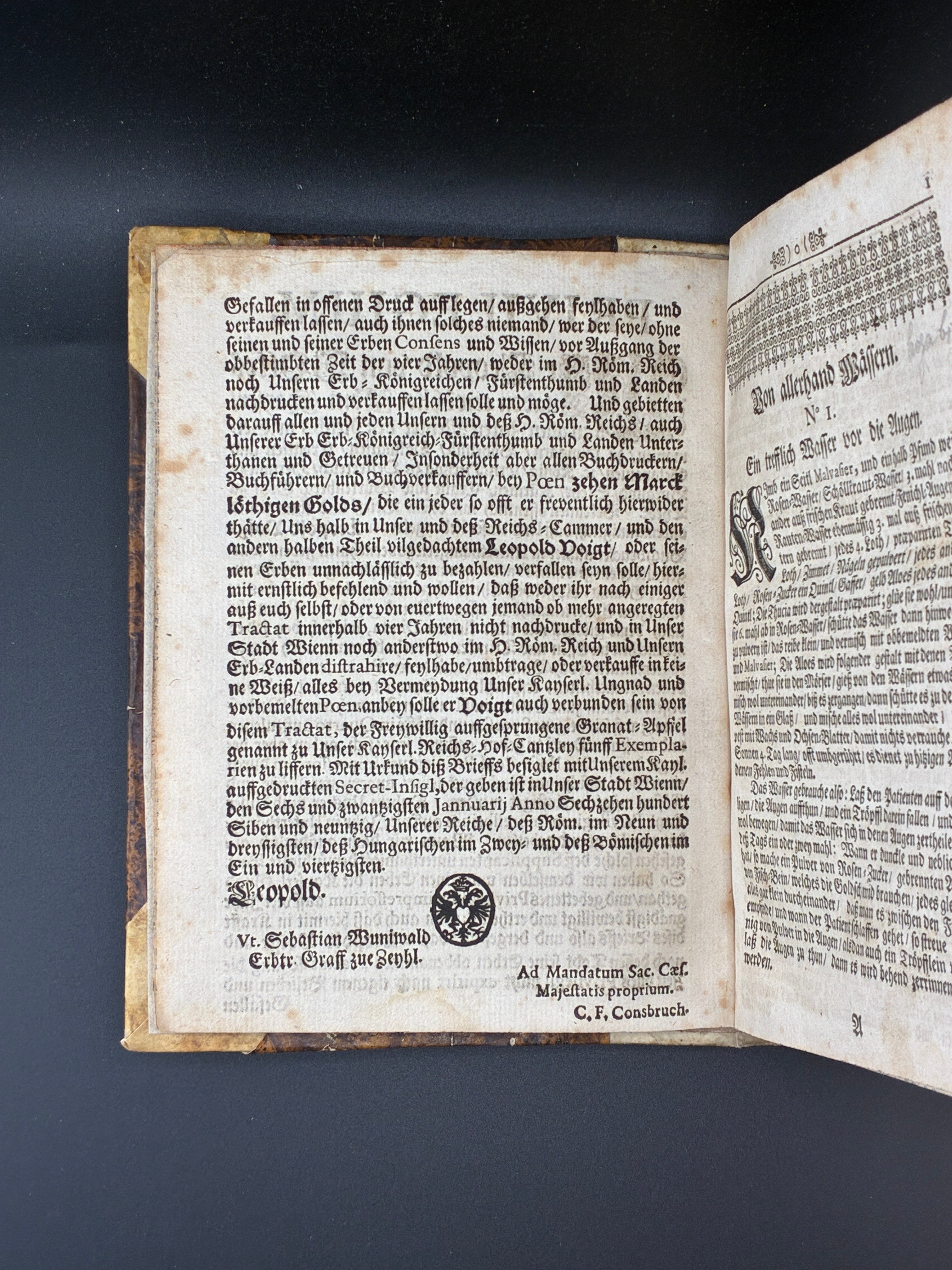 Шість книг обраних лікарів. З більш ніж 1800 рецептами ліків. Widmannstetterische Herben, 1697