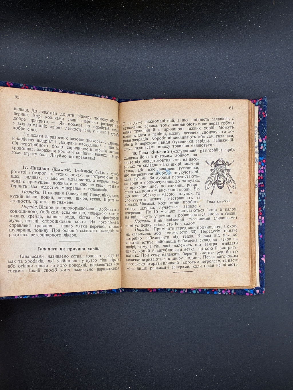 СТАХУРСЬКИЙ Маріян. Ветеринарний лікар у недугах домашніх звірят. Львів: Спілка «Літо», 1923