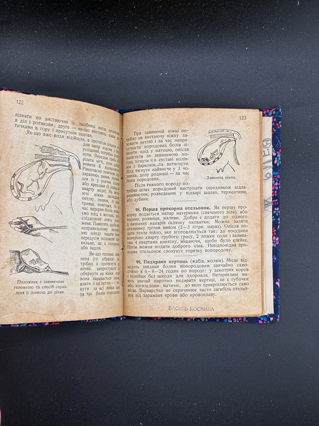 СТАХУРСЬКИЙ Маріян. Ветеринарний лікар у недугах домашніх звірят. Львів: Спілка «Літо», 1923