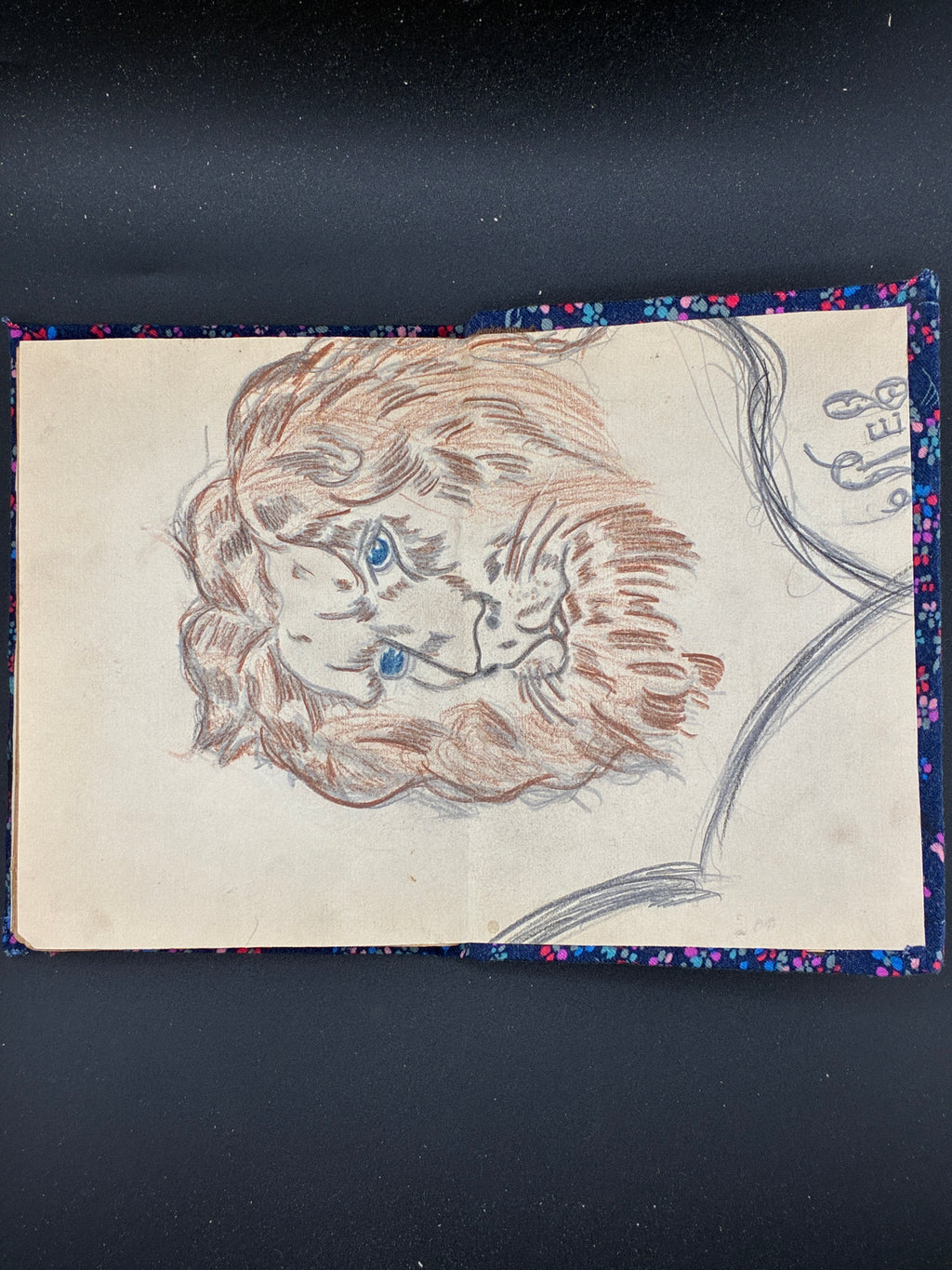 СТАХУРСЬКИЙ Маріян. Ветеринарний лікар у недугах домашніх звірят. Львів: Спілка «Літо», 1923