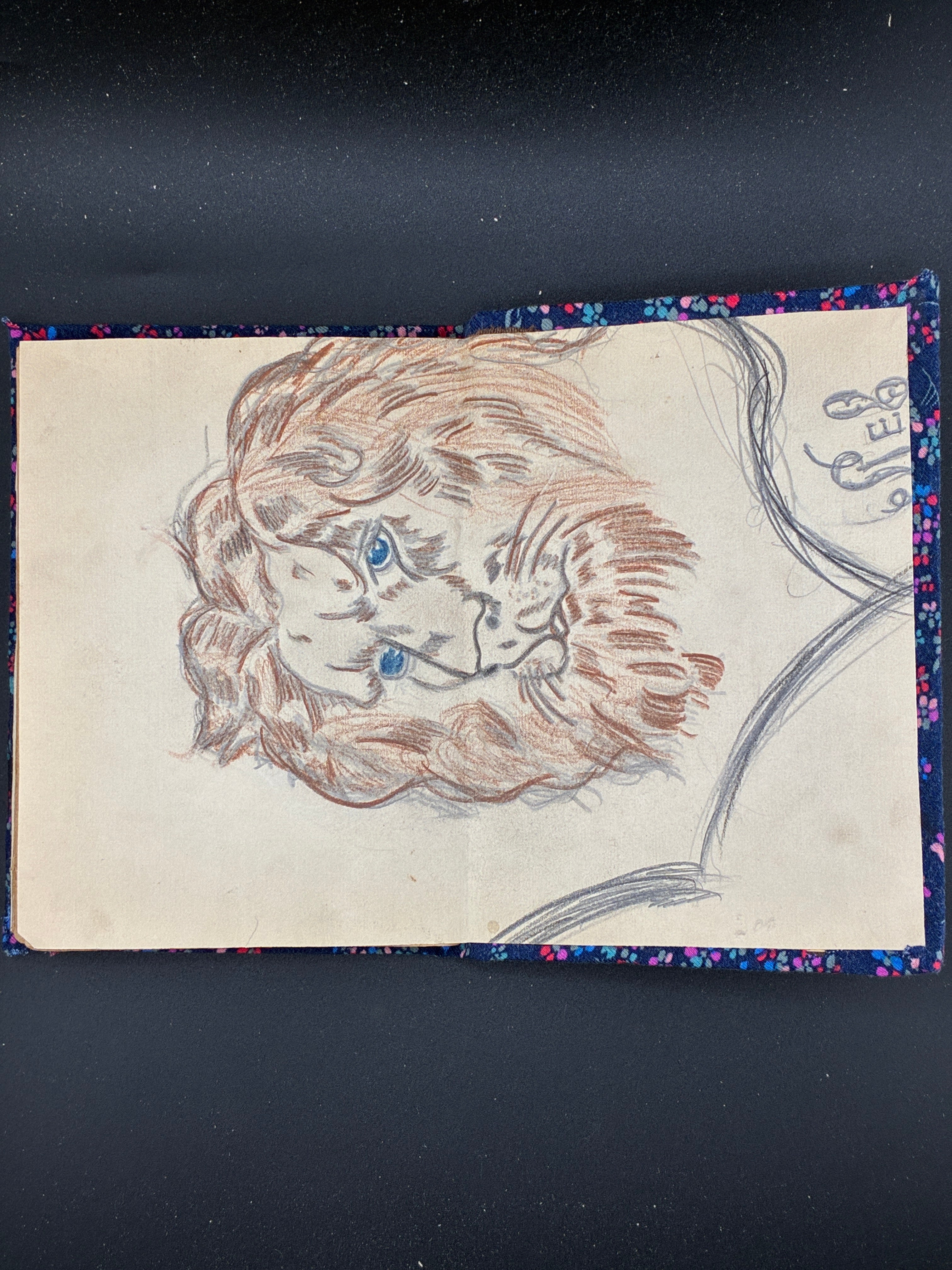 СТАХУРСЬКИЙ Маріян. Ветеринарний лікар у недугах домашніх звірят. Львів: Спілка «Літо», 1923