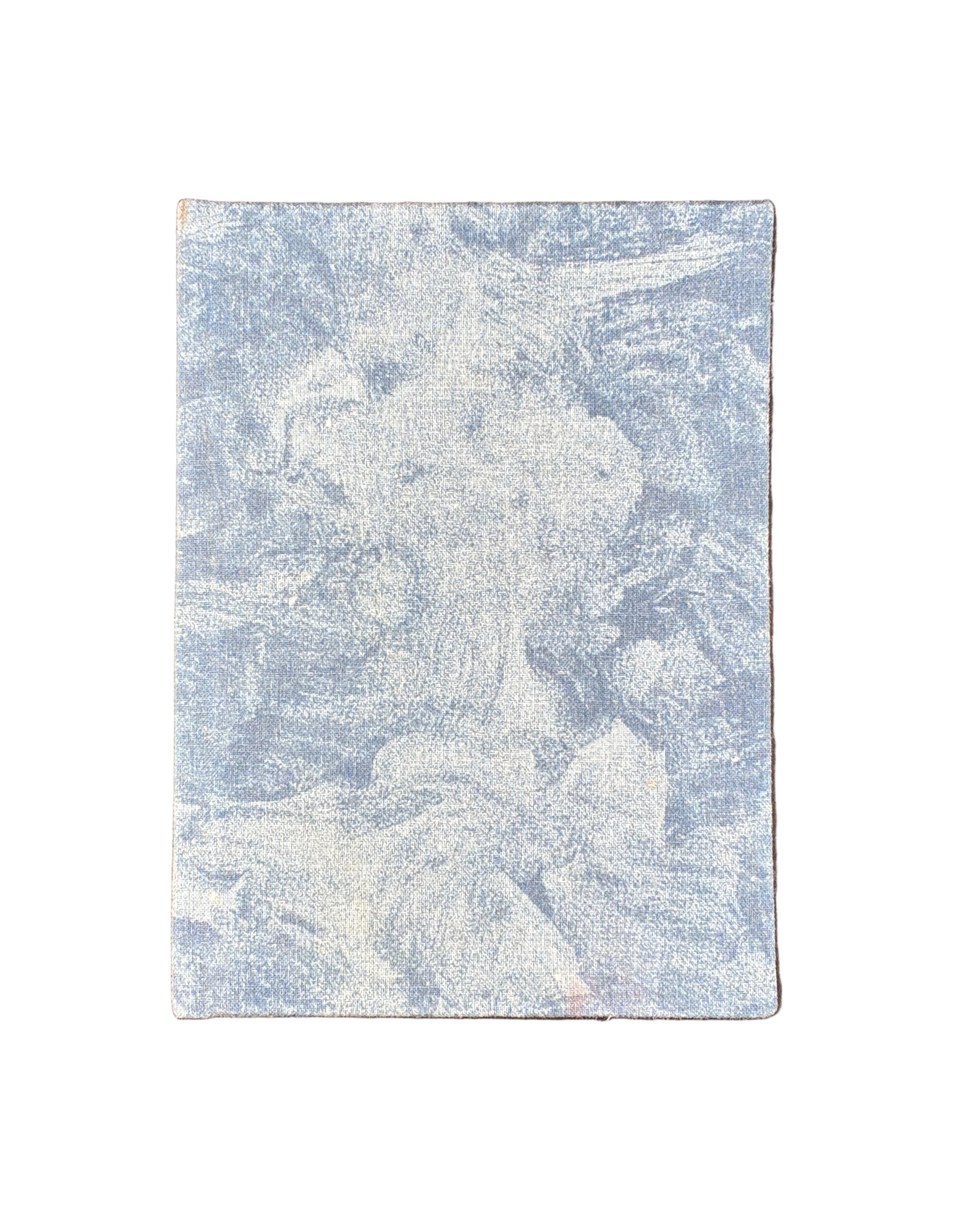 НОВАКОВСКИЙ М. ПАСІЧНИЦТВО. Львів: Видавництво «Людовe», 1909