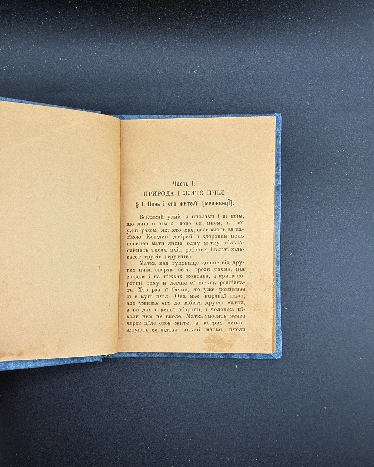 Новаковський М. Пасічництво. Львів, 1909