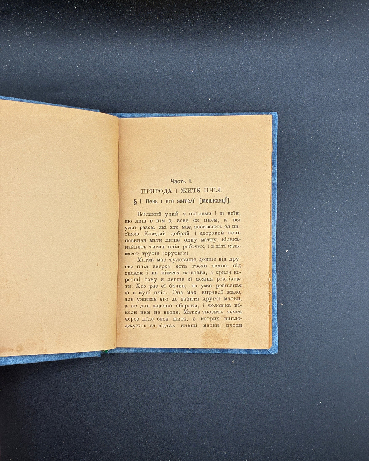 Новаковський М. Пасічництво. Львів, 1909
