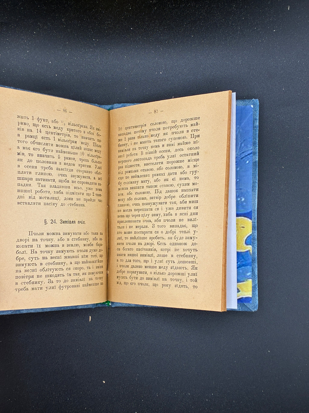 НОВАКОВСКИЙ М. ПАСІЧНИЦТВО. Львів: Видавництво «Людовe», 1909