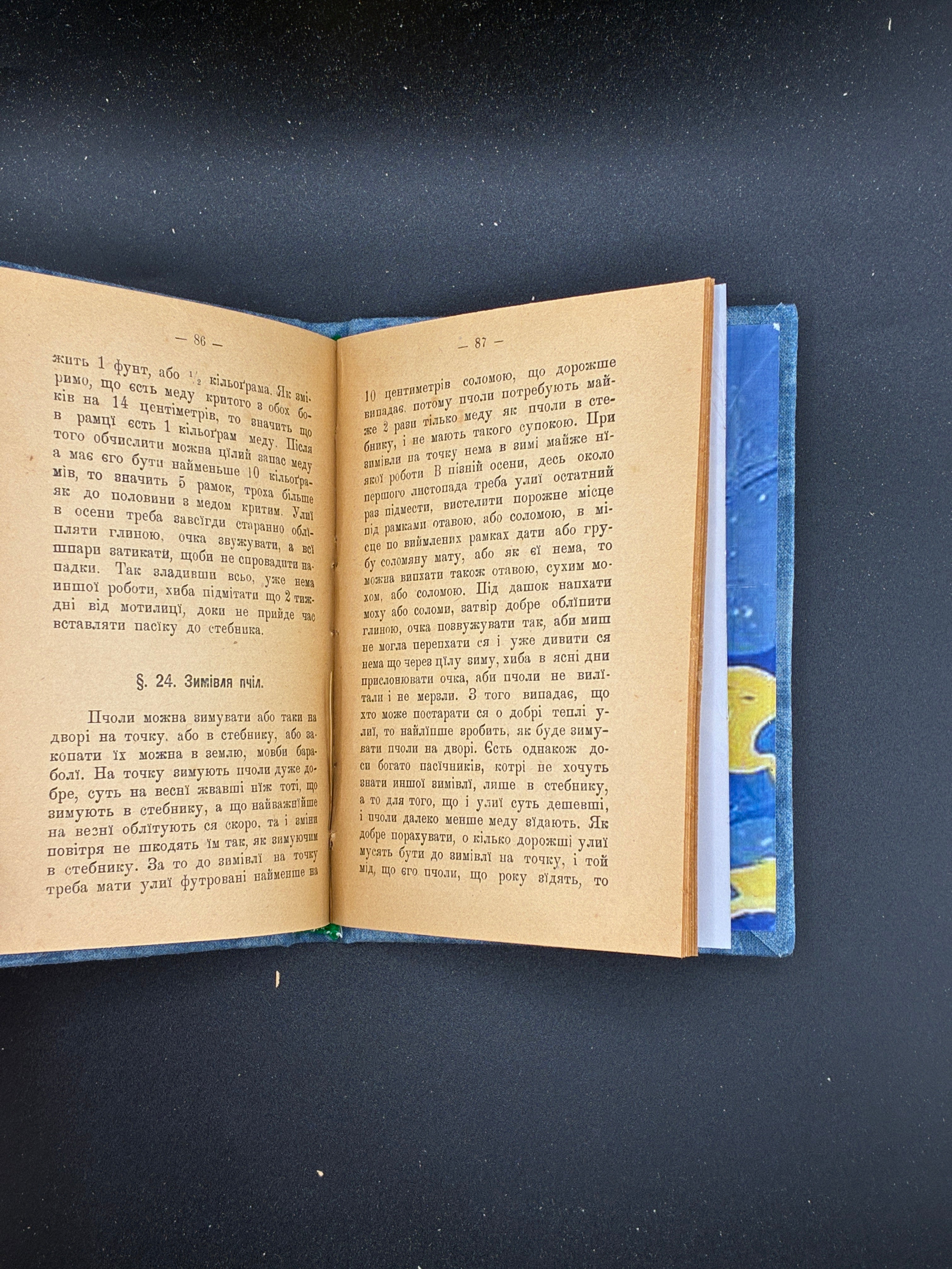 НОВАКОВСКИЙ М. ПАСІЧНИЦТВО. Львів: Видавництво «Людовe», 1909