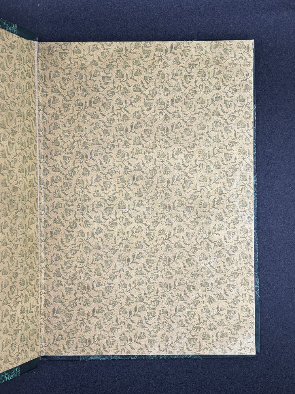 Іван Франко. Як Юра Шикманюк брів Черемош. Терен у нозі. НТШ, 1923