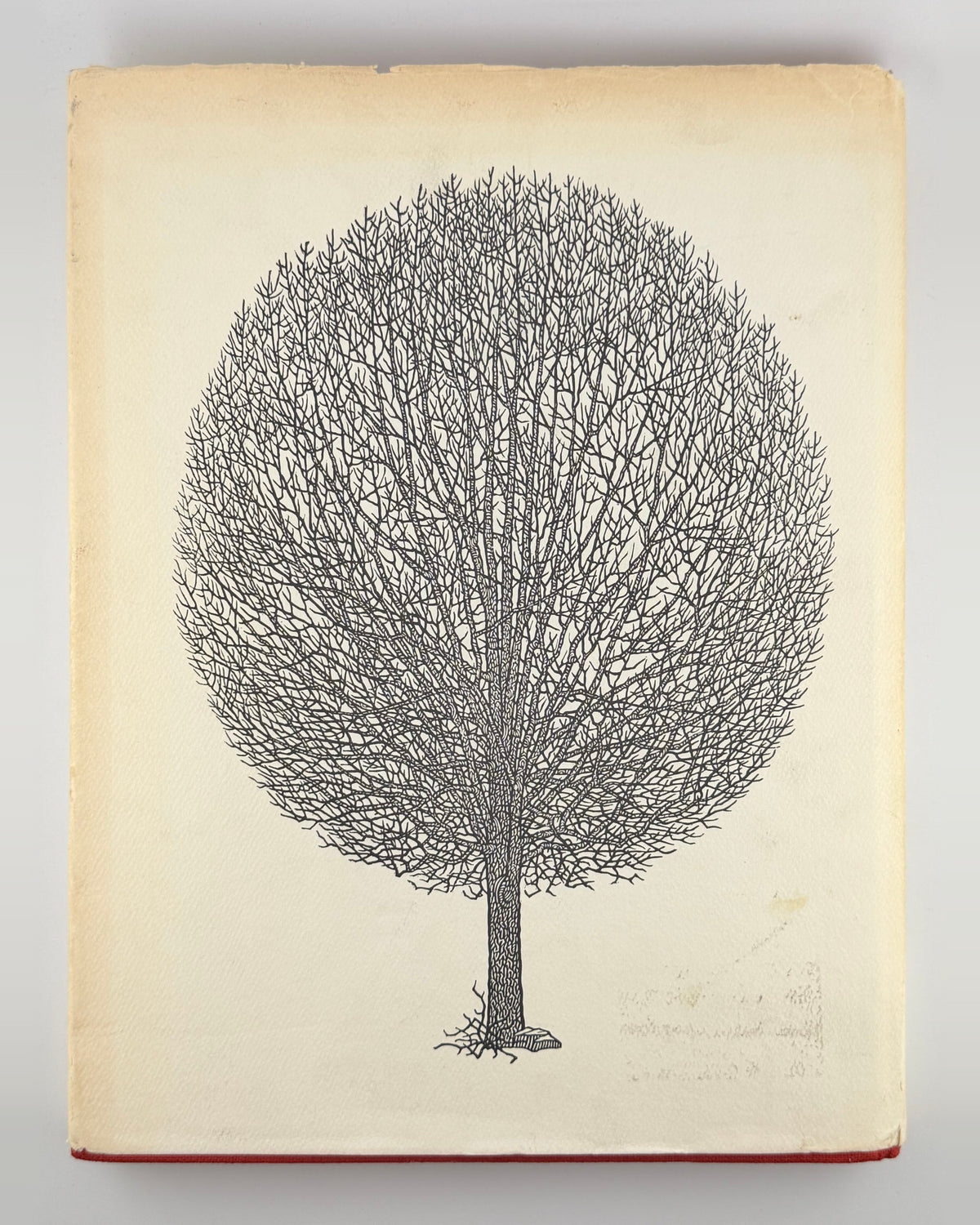 Tahir. Hnizdovsky: Woodcuts, 1944-1975