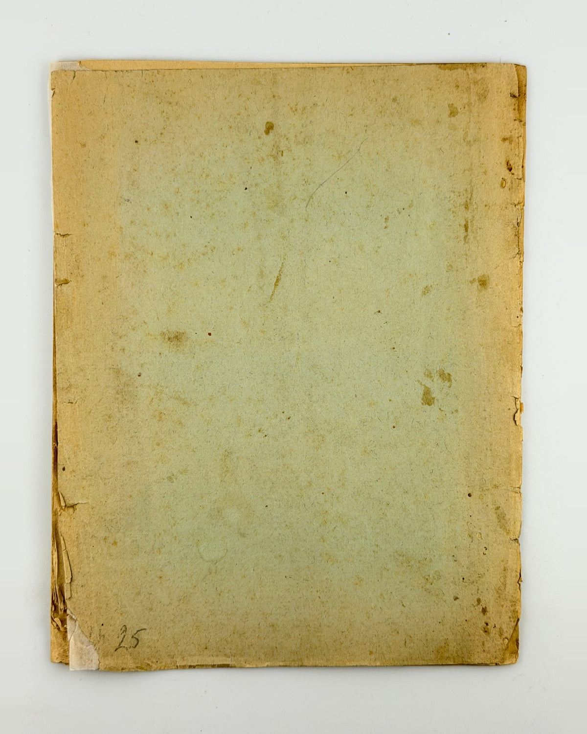Лепкий. Чим жива українська література, Вецляр 1918